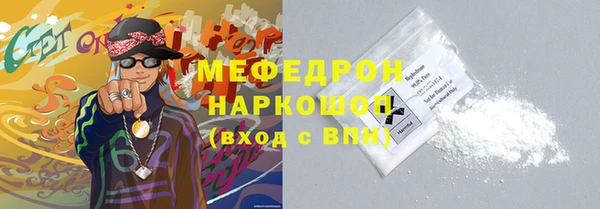 индика Пестово