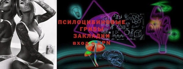 сатива Алексин