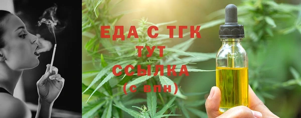 индика Пестово
