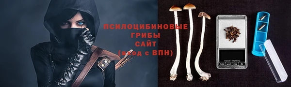 spice Пересвет