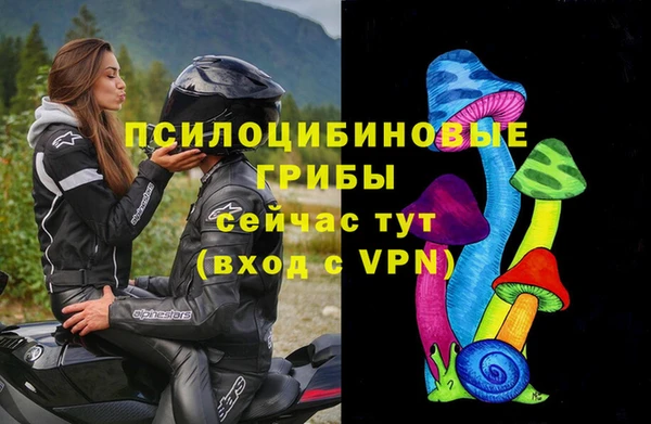 сатива Алексин