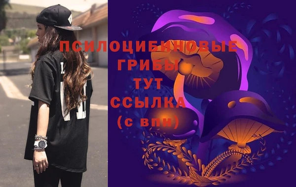 ECSTASY Алексеевка